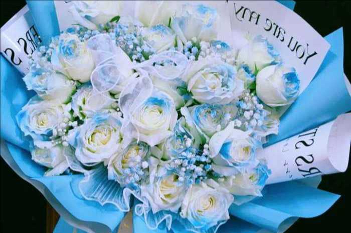 ���ݸ���������