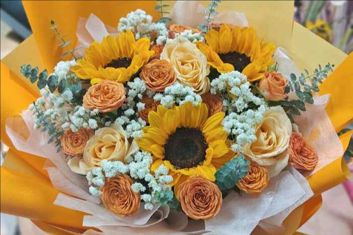 ���ݸ���������